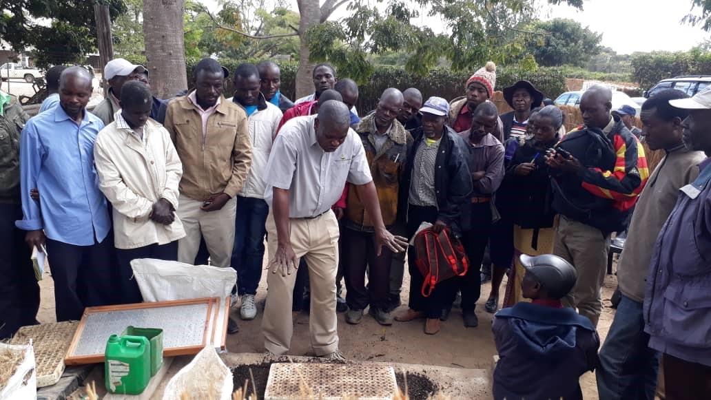 Sustainable Farming Practices Gain Momentum