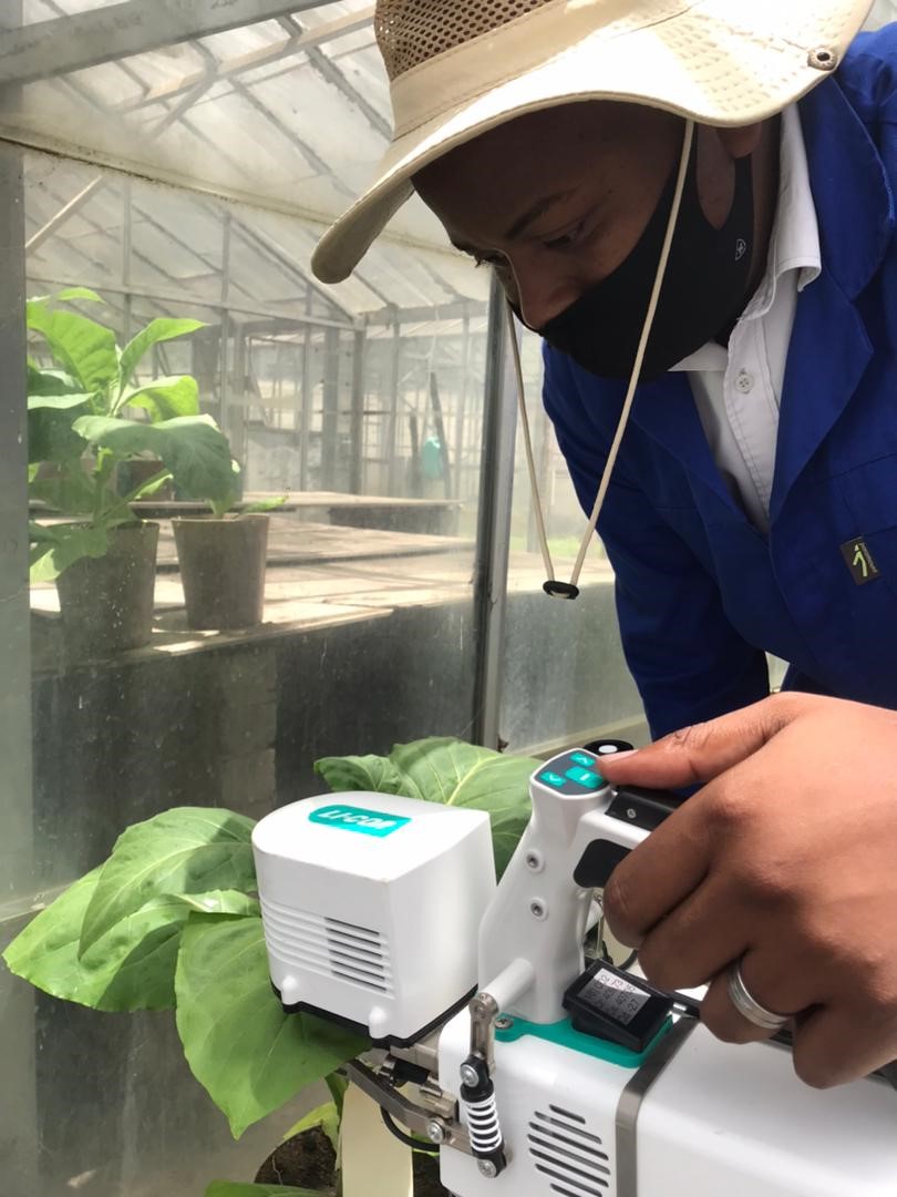 Plant Health & Protection